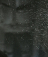 356.jpg